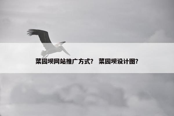 菜园坝网站推广方式？ 菜园坝设计图？