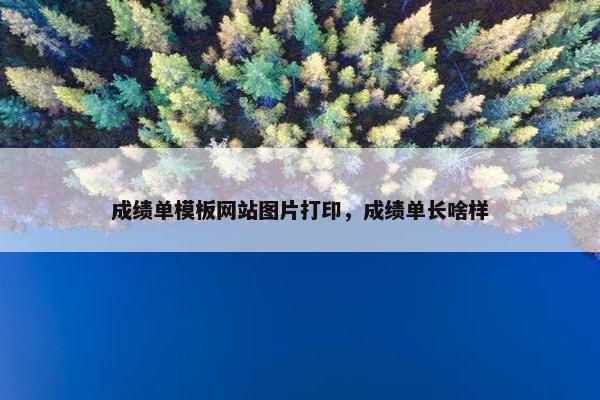 成绩单模板网站图片打印，成绩单长啥样