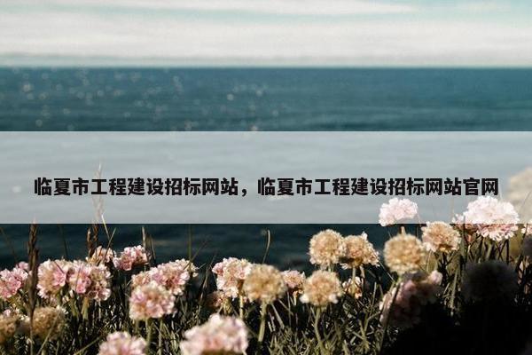 临夏市工程建设招标网站，临夏市工程建设招标网站官网