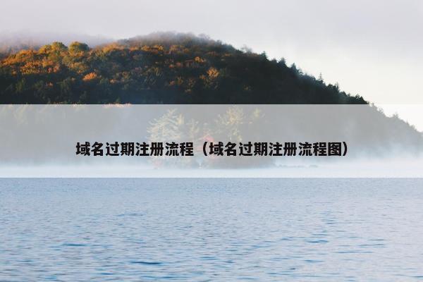 域名过期注册流程（域名过期注册流程图）