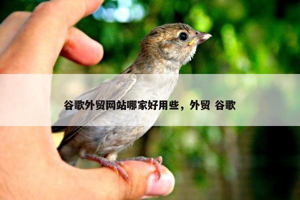 谷歌外贸网站哪家好用些，外贸 谷歌