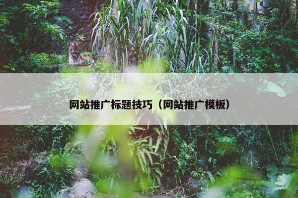 网站推广标题技巧（网站推广模板）