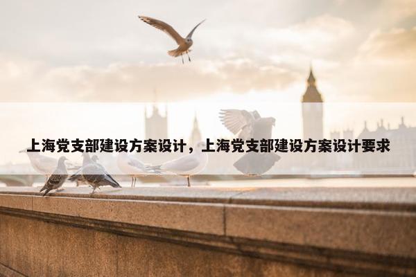 上海党支部建设方案设计，上海党支部建设方案设计要求