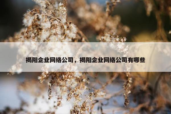 揭阳企业网络公司，揭阳企业网络公司有哪些