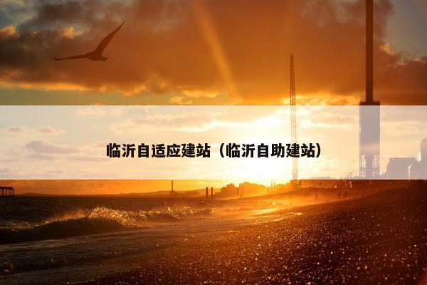 临沂自适应建站（临沂自助建站）