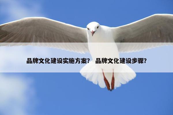品牌文化建设实施方案？ 品牌文化建设步骤？