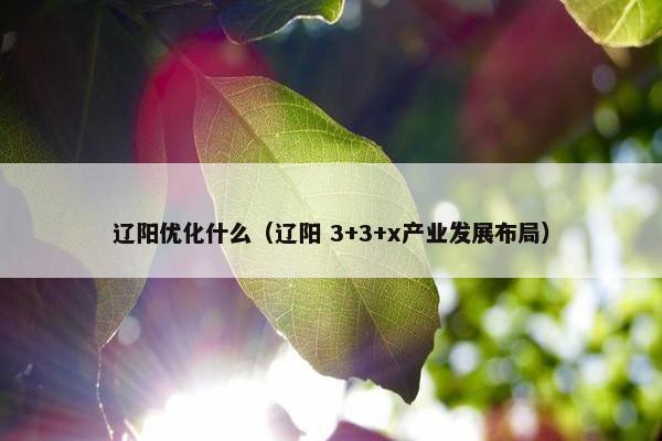 辽阳优化什么（辽阳 3+3+x产业发展布局）