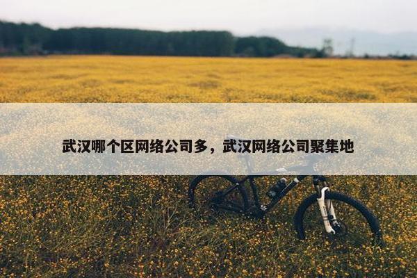 武汉哪个区网络公司多，武汉网络公司聚集地