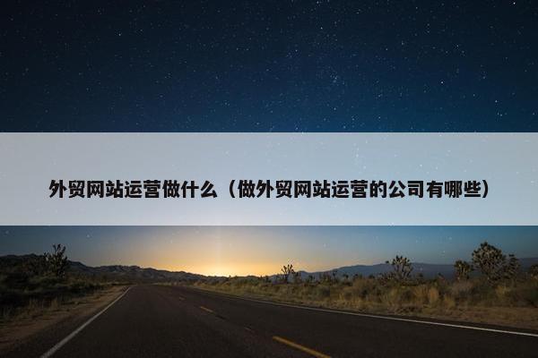 外贸网站运营做什么（做外贸网站运营的公司有哪些）