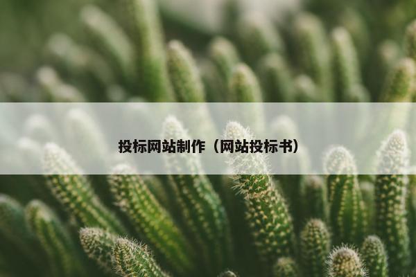 投标网站制作（网站投标书）