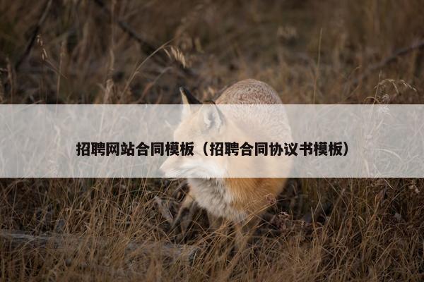 招聘网站合同模板（招聘合同协议书模板）