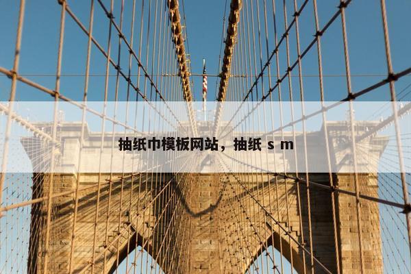 抽纸巾模板网站，抽纸 s m