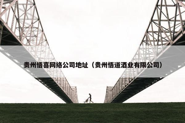贵州悟喜网络公司地址（贵州悟道酒业有限公司）