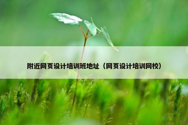 附近网页设计培训班地址（网页设计培训网校）
