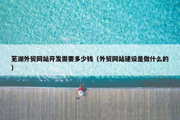 芜湖外贸网站开发需要多少钱（外贸网站建设是做什么的）