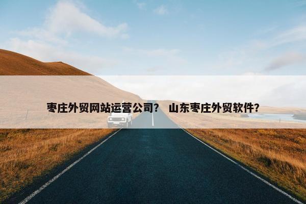 枣庄外贸网站运营公司？ 山东枣庄外贸软件？