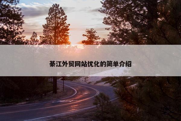 綦江外贸网站优化的简单介绍