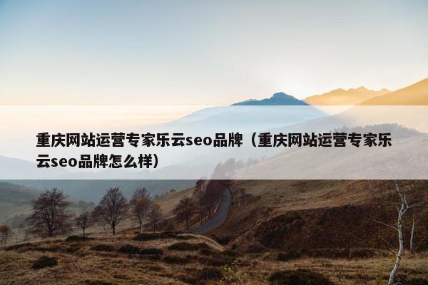 重庆网站运营专家乐云seo品牌（重庆网站运营专家乐云seo品牌怎么样）