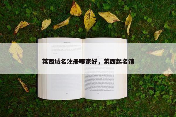 莱西域名注册哪家好，莱西起名馆