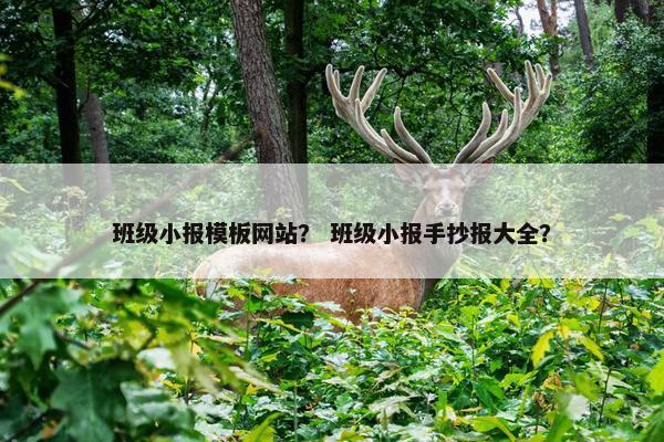 班级小报模板网站？ 班级小报手抄报大全？