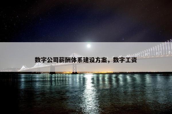 数字公司薪酬体系建设方案，数字工资