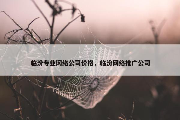 临汾专业网络公司价格，临汾网络推广公司