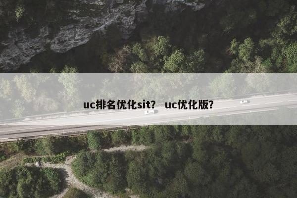 uc排名优化sit？ uc优化版？