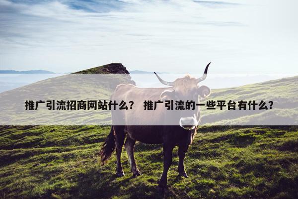 推广引流招商网站什么？ 推广引流的一些平台有什么？