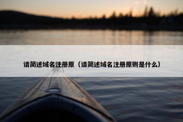 请简述域名注册原（请简述域名注册原则是什么）