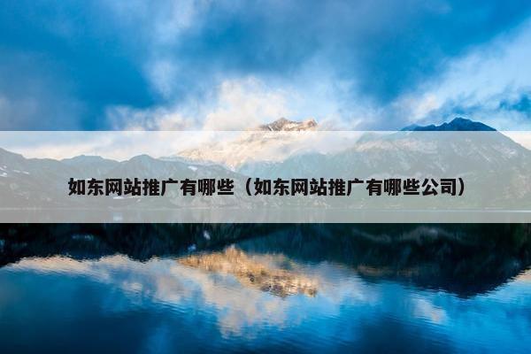 如东网站推广有哪些（如东网站推广有哪些公司）