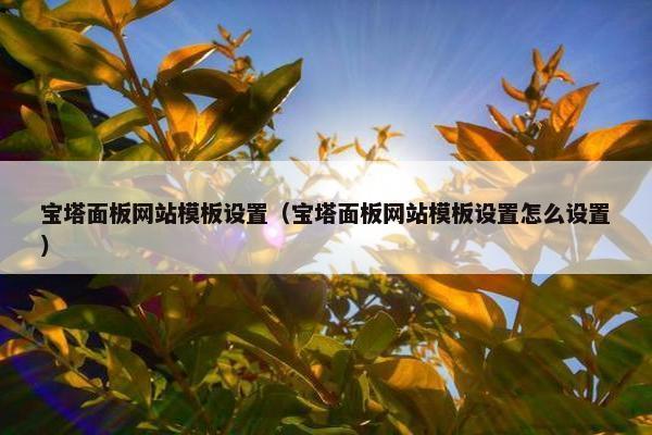 宝塔面板网站模板设置（宝塔面板网站模板设置怎么设置）