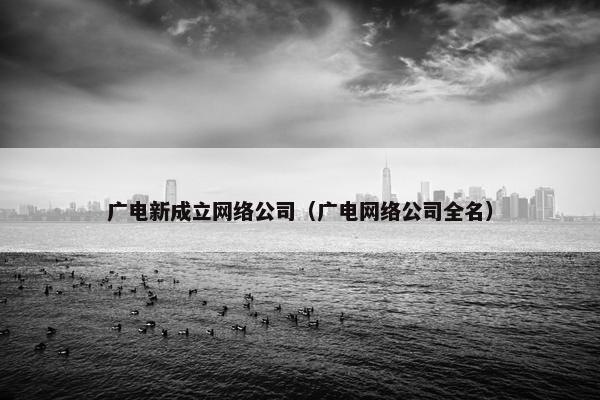 广电新成立网络公司（广电网络公司全名）