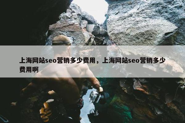 上海网站seo营销多少费用，上海网站seo营销多少费用啊