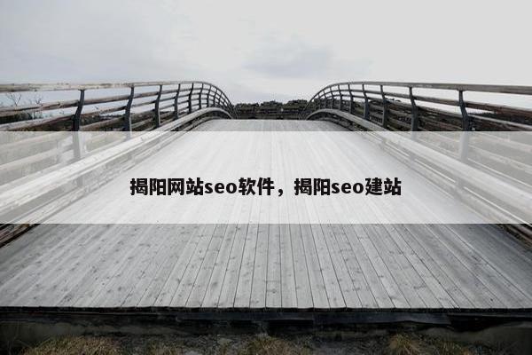 揭阳网站seo软件，揭阳seo建站