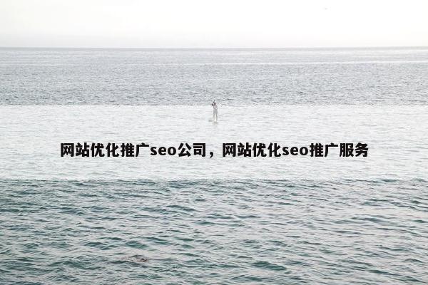 网站优化推广seo公司，网站优化seo推广服务