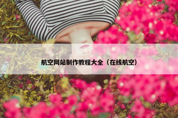 航空网站制作教程大全（在线航空）