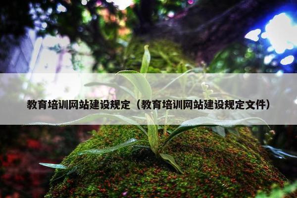 教育培训网站建设规定（教育培训网站建设规定文件）
