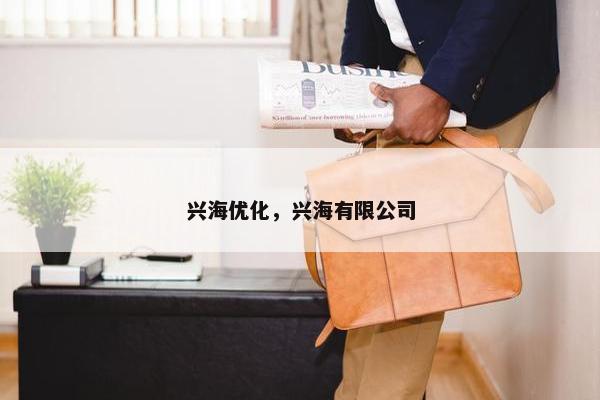 兴海优化，兴海有限公司