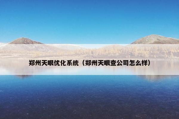郑州天眼优化系统（郑州天眼查公司怎么样）