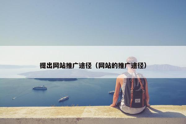 提出网站推广途径（网站的推广途径）