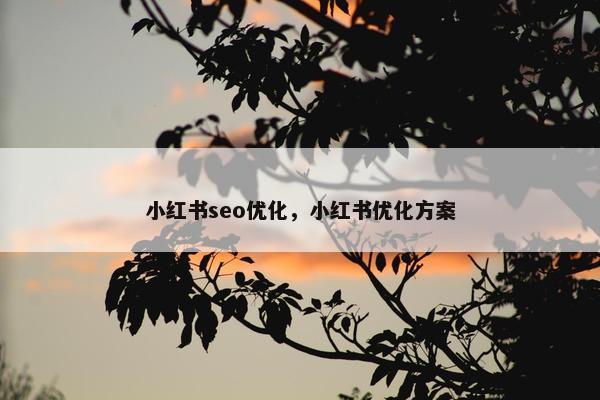 小红书seo优化，小红书优化方案
