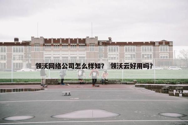 领沃网络公司怎么样知？ 领沃云好用吗？
