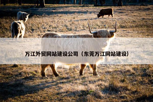 万江外贸网站建设公司（东莞万江网站建设）