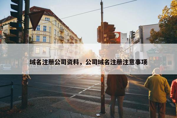 域名注册公司资料，公司域名注册注意事项