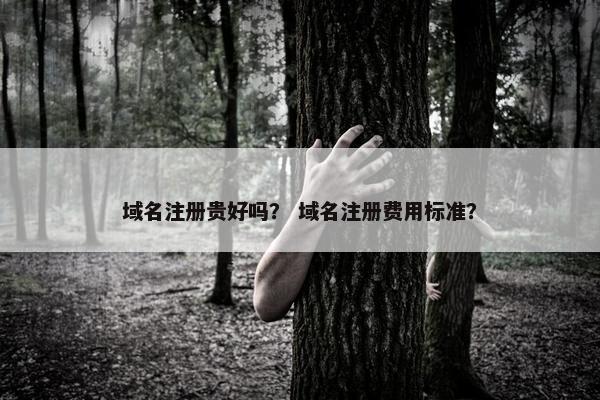 域名注册贵好吗？ 域名注册费用标准？