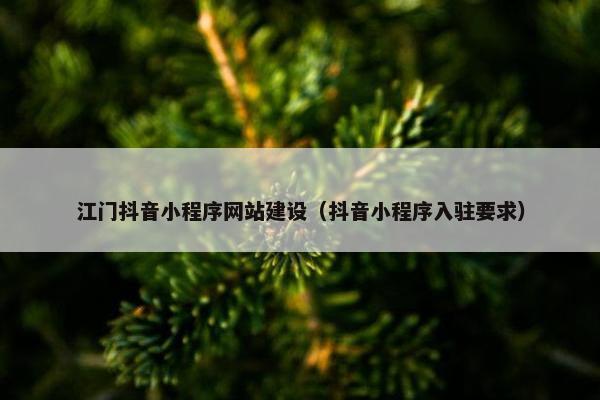 江门抖音小程序网站建设（抖音小程序入驻要求）