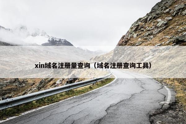 xin域名注册量查询（域名注册查询工具）
