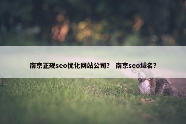 南京正规seo优化网站公司？ 南京seo域名？