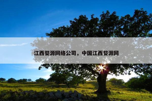 江西婺源网络公司，中国江西婺源网