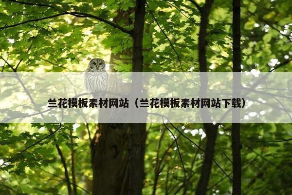 兰花模板素材网站（兰花模板素材网站下载）